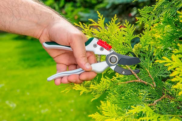 قیمت قیچی باغبانی تلسکپی + پخش تولیدی عمده کارخانه